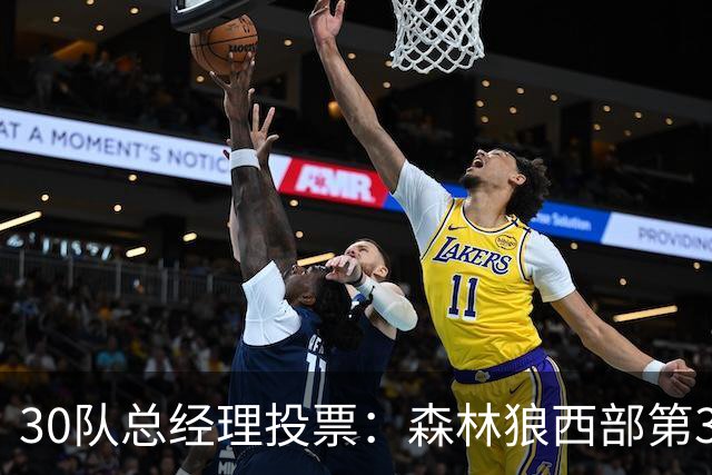 30队总经理投票：森林狼西部第3，却又被选为最难预测